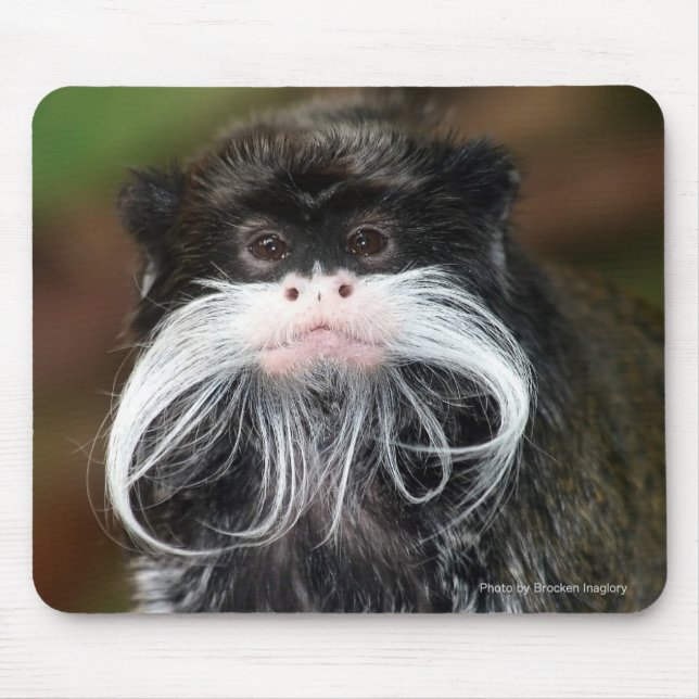 Mousepad Imperador Tamarin (Frente)