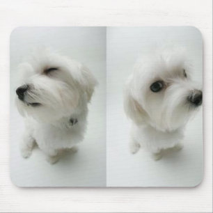 Mousepad impertinente-filhotes de cachorro