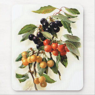 Mousepad Impressão botânico das cerejas