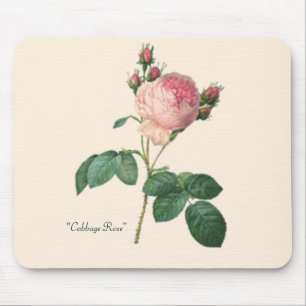 Mousepad Impressão botânico do rosa da couve