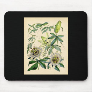 Mousepad Impressão botânico - flor da paixão (Passiflora