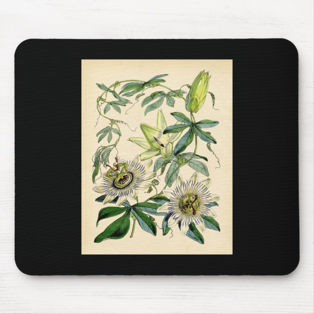 Mousepad Impressão botânico - flor da paixão (Passiflora) (Frente)