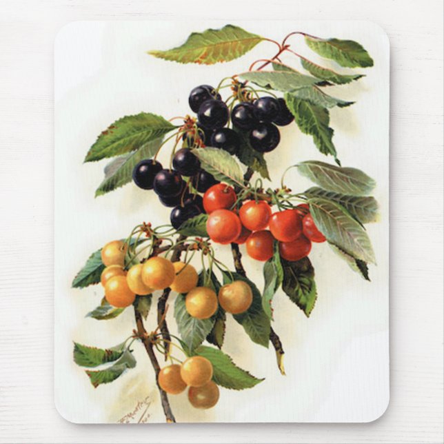 Mousepad Impressão de Cerejas Botânicas (Frente)