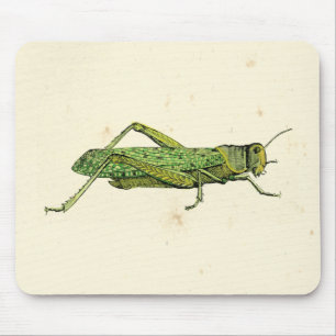 Mousepad Impressão de Gafanhoto Verde