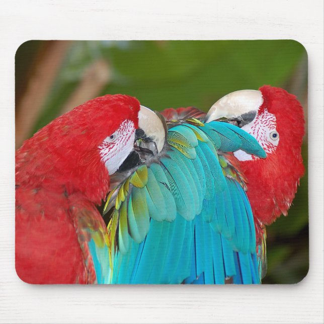 Mousepad impressão de papagaio vermelho e azul (Frente)