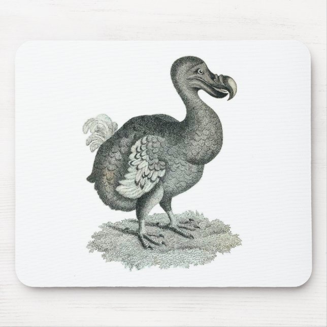 Mousepad Impressão Do Bird (Frente)