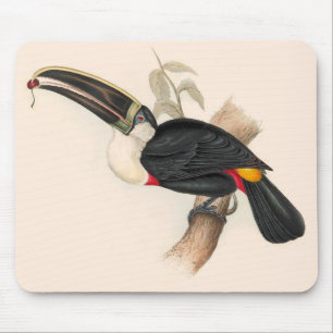 Mousepad Impressão do Tucano-de-bico-preto de Cuvier: Ave T