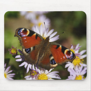 Mousepad Inachis io
