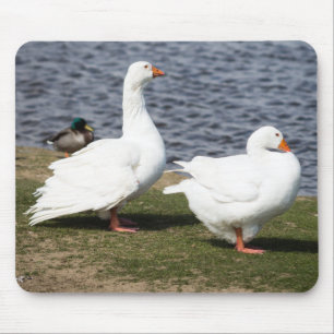 Mousepad Incorporar Geese