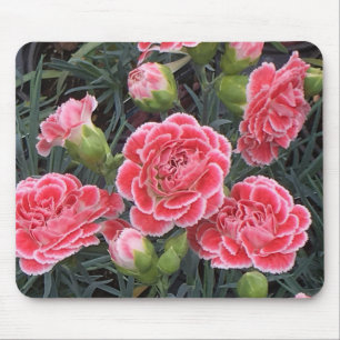 Mousepad Incrível Dianthus