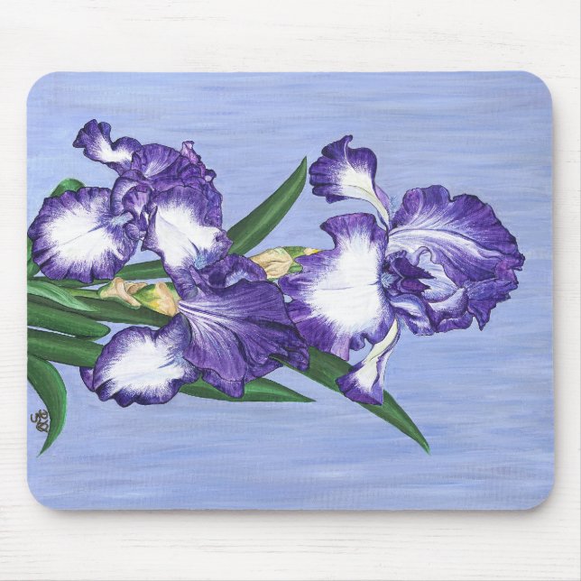 Mousepad indeterminado (Frente)