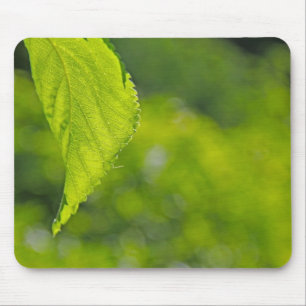 Mousepad indeterminado