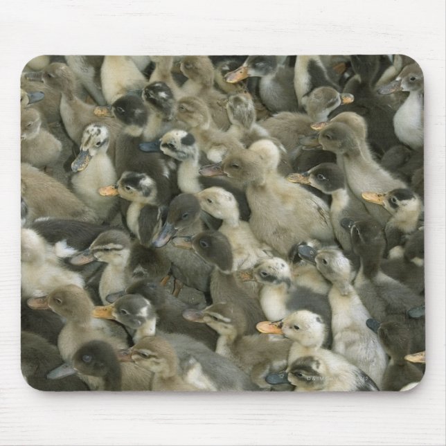 Mousepad Índia (Frente)