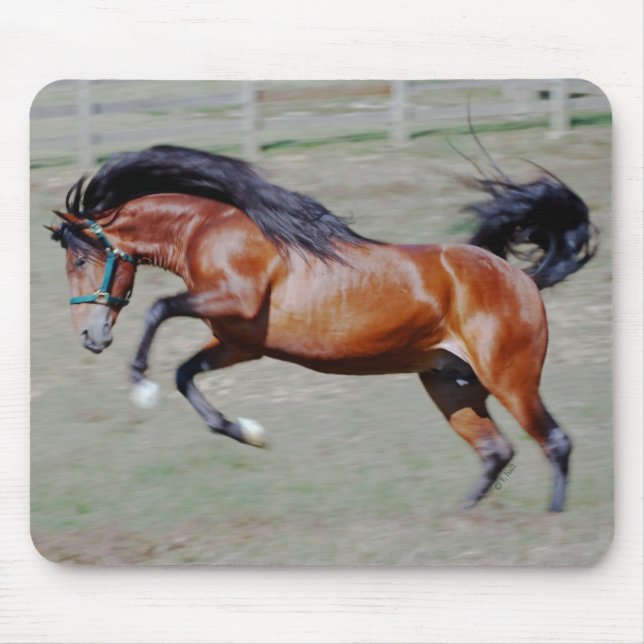 Mousepad Indico VII que alcançam para fora (Frente)