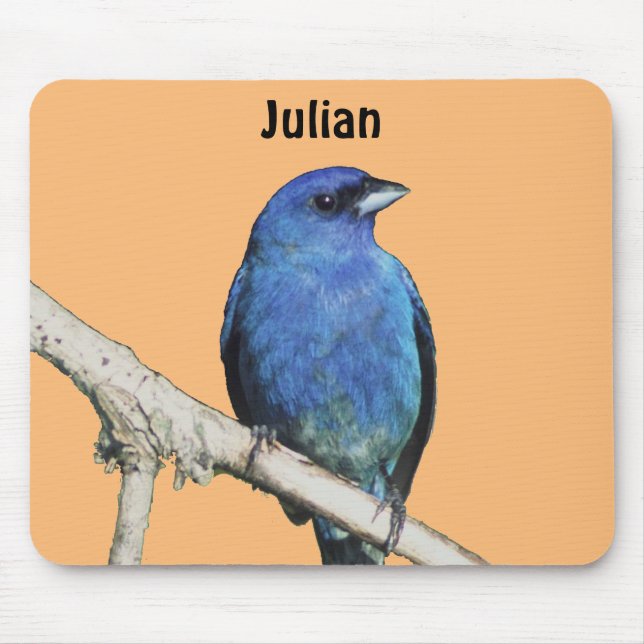 Mousepad Indigo Bunting (Frente)