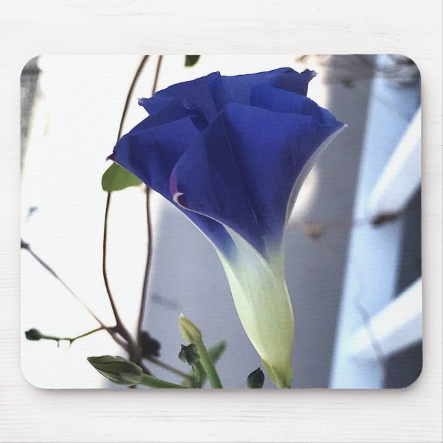 Mousepad Indigo Swirl Morning Glory Close-up (Frente)
