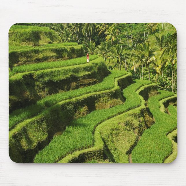 Mousepad Indonésia, Bali | Campos de Arroz (Frente)
