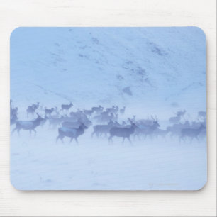 Mousepad Inglaterra