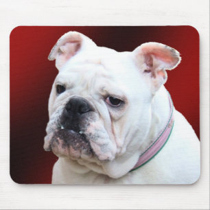 Mousepad inglês do buldogue 2