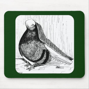 Mousepad Inglês - ShortFace Pigeon Bald 1978