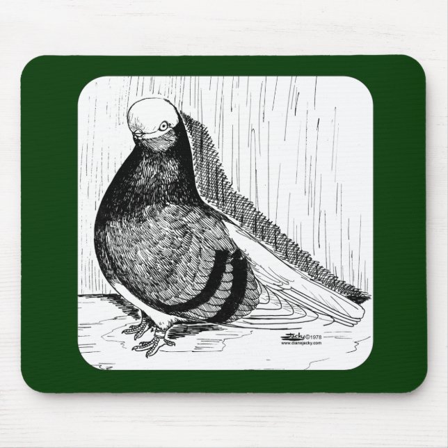 Mousepad Inglês - ShortFace Pigeon Bald 1978 (Frente)