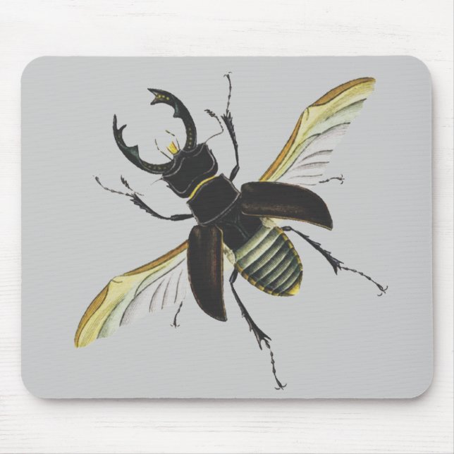 Mousepad Inseto (Frente)