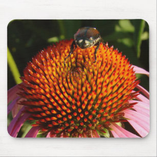 Mousepad Inseto na Flor