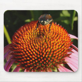 Mousepad Inseto na ventoinha