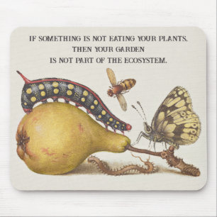 Mousepad Insetos de Jardim, Mosca, Lagarta, Pera, Centopéia