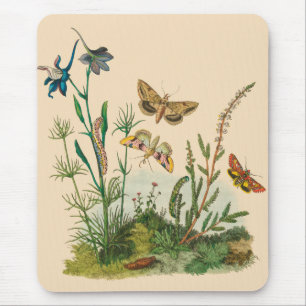 Mousepad Insetos do jardim do vintage, borboletas, lagartas