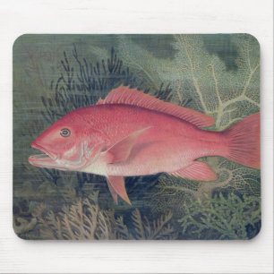 Mousepad Instantâneo Vermelho, de 'Peixes de Jogo dos Esta