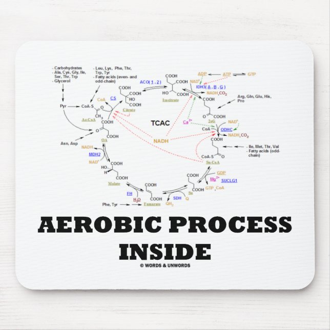 Mousepad Interior aeróbio do processo (ciclo de Krebs) (Frente)