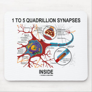 Mousepad Interior de 1 a 5 sinapses do Quadrillion