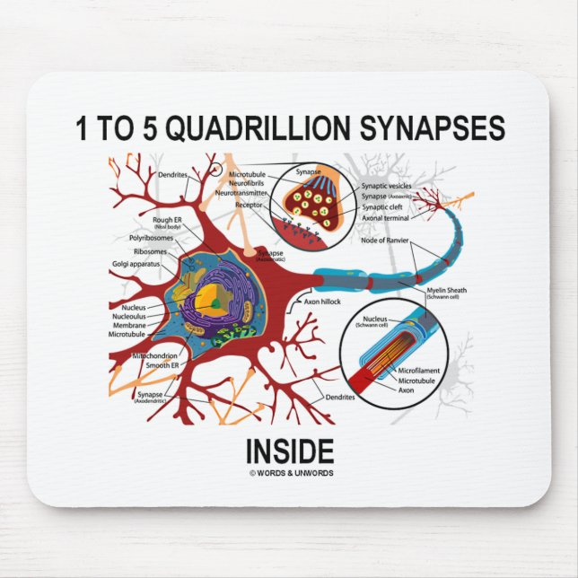 Mousepad Interior de 1 a 5 sinapses do Quadrillion (Frente)