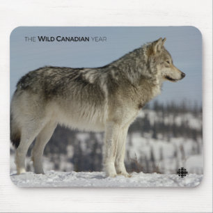 Mousepad Inverno - Lobo