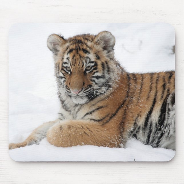 Mousepad Inverno Tigre (Frente)