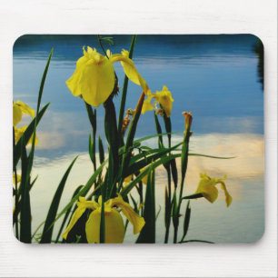 Mousepad Íris Amarela na Margem do Lago