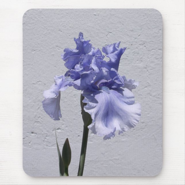 Mousepad Iris Bloom (Frente)