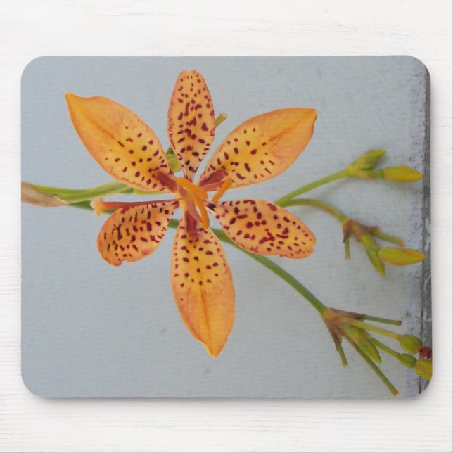 Mousepad Íris de manchas laranja chamada Lírio amora-preta (Frente)
