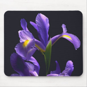 Mousepad Íris impressionante, roxa