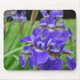 Mousepad Íris no jardim