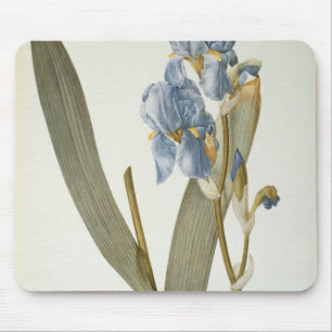 Mousepad Íris Pallida, de "Les Liliacees", 1812