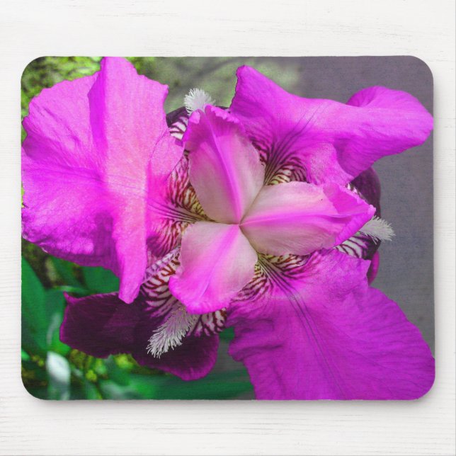 Mousepad Iris Rosa (Frente)