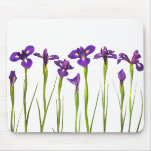 Mousepad Íris roxas - modelo personalizado flor da íris