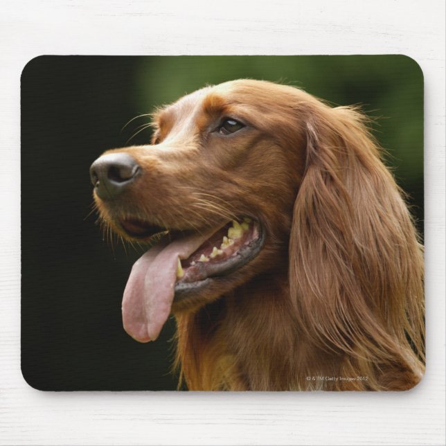 Mousepad Irish Setter 2 (Frente)