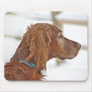Mousepad Irish Setter com flocos de neve