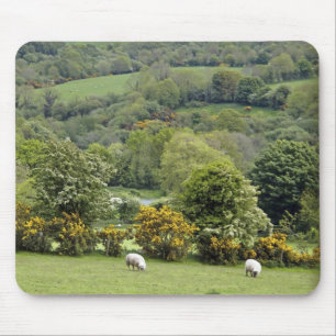 Mousepad Irlanda Ocidental, Península de Dingle, ampla