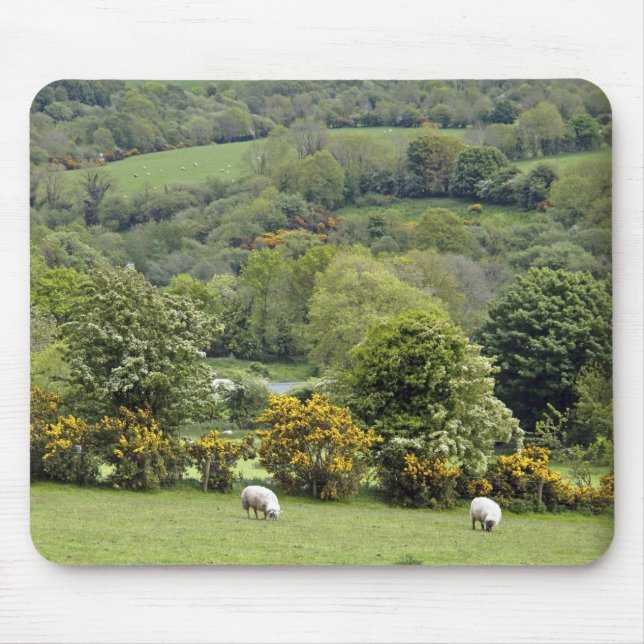 Mousepad Irlanda Ocidental, Península de Dingle, ampla (Frente)