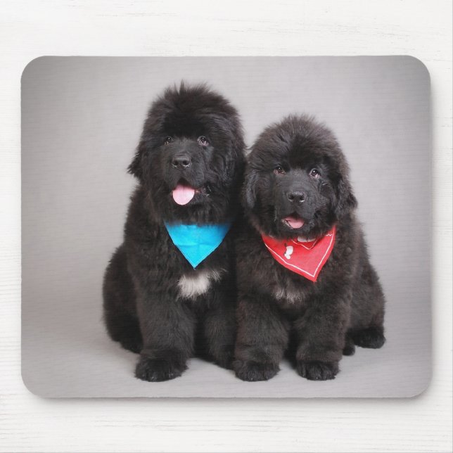 Mousepad Irmãos Nuwfie (Frente)