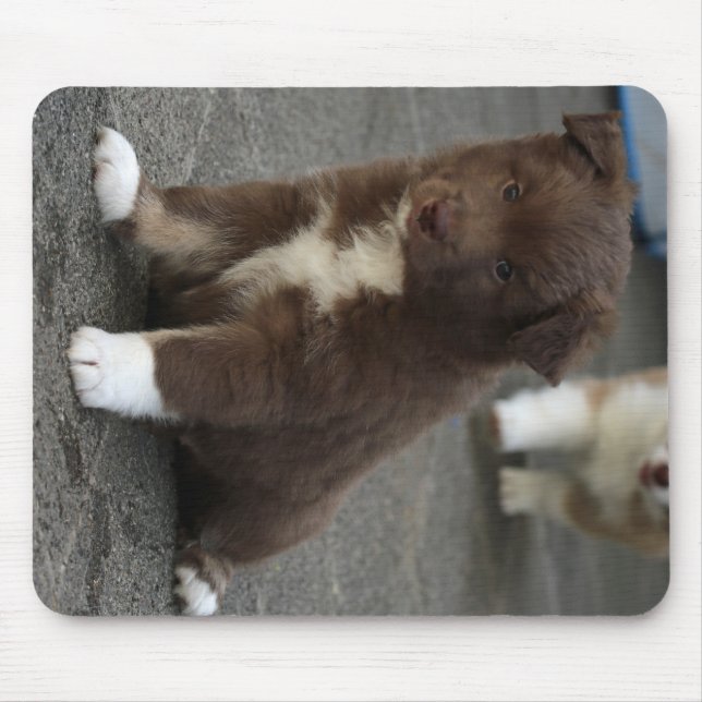 Mousepad IslandêsSheepdog_20171202_by_JAMFoto (Frente)